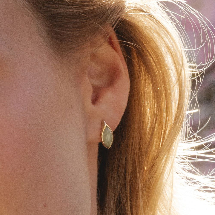 Classic Marquise Green Jadeite Stud Earrings in 9ct Yellow Gold